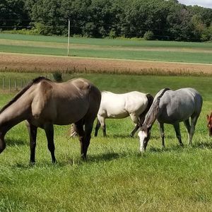 Meet your Posher, Kelly